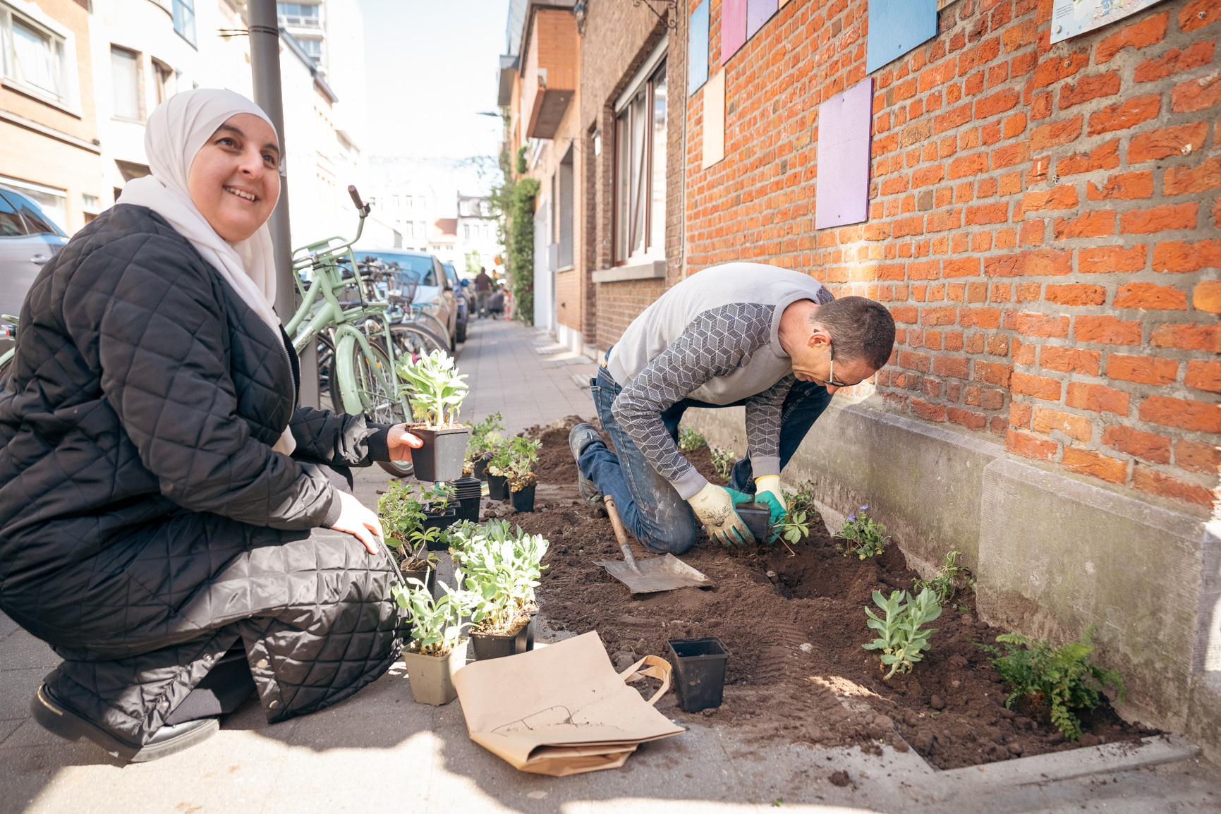 Bestel voor 1 september je gratis plantjes. 17 oktober is het weer Groeidag in Borgerhout